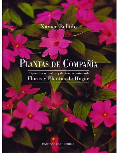 Plantas de compañía