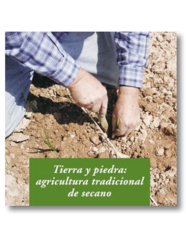 Tierra y piedra: agricultura tradicional de secano